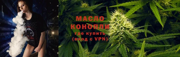 крисы Армянск