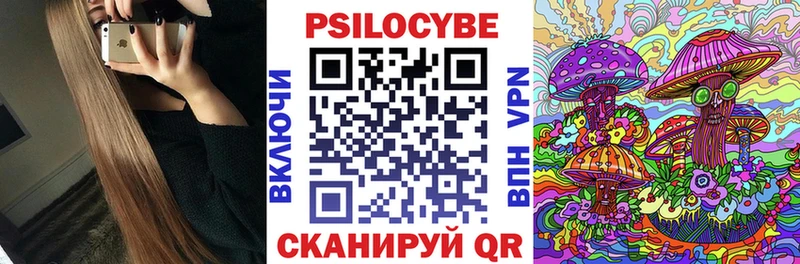 Псилоцибиновые грибы Cubensis  Ипатово 